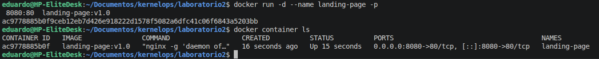 Container /img/posts/proyectos/laboratorio2/container.png