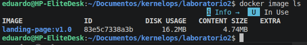Docker Image /img/posts/proyectos/laboratorio2/docker_image.png