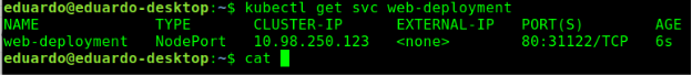 web-deployment